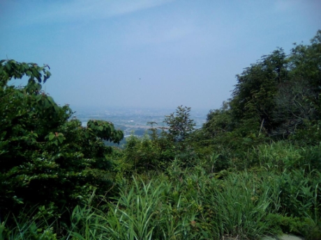 画像12